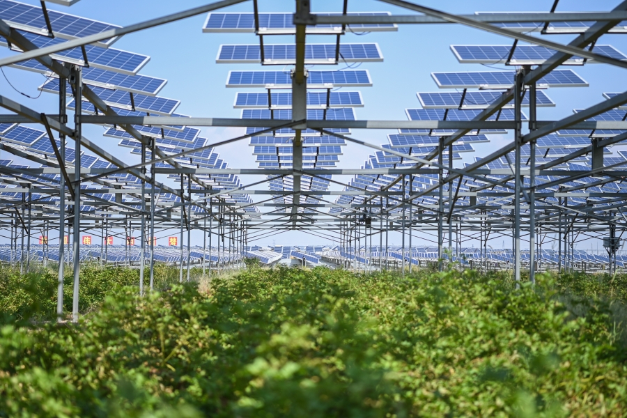 圖5  三峽集團(tuán)在庫(kù)布齊沙漠腹地繪就沙漠生態(tài)治理與綜合能源高效利用新畫(huà)卷